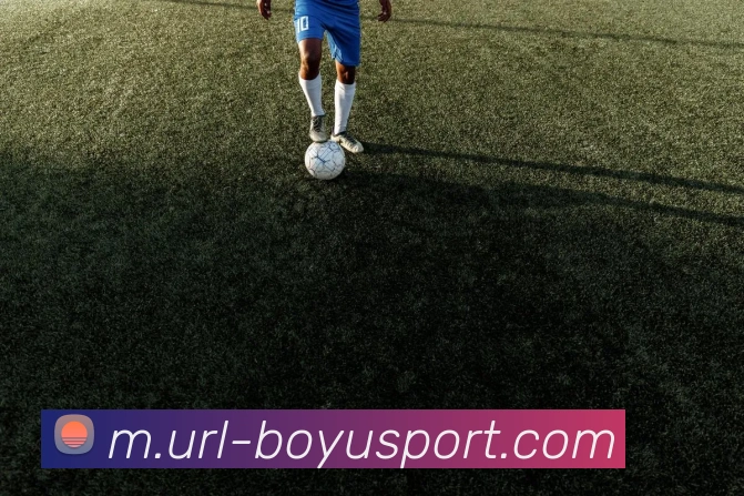 App Interface Preview